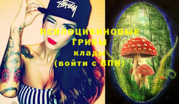 шишки Пестово
