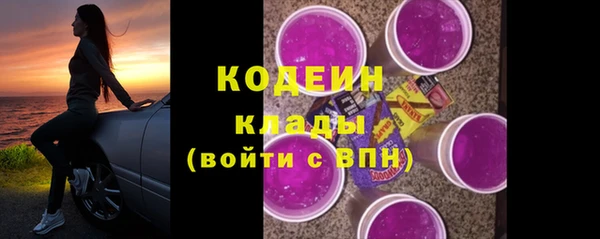 шишки Пестово