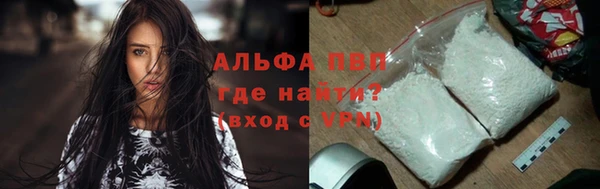 шишки Пестово