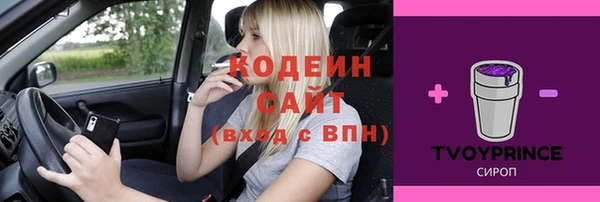 прущий лед Пересвет