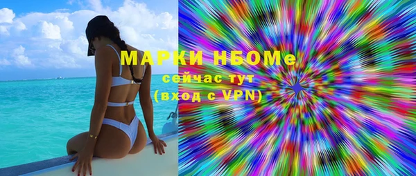 шишки Пестово