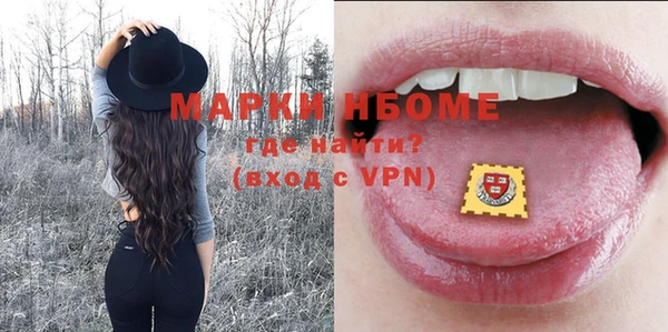 шишки Пестово