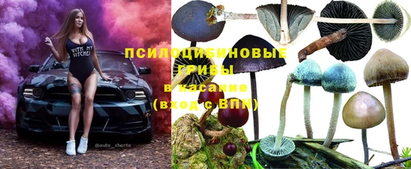шишки Пестово