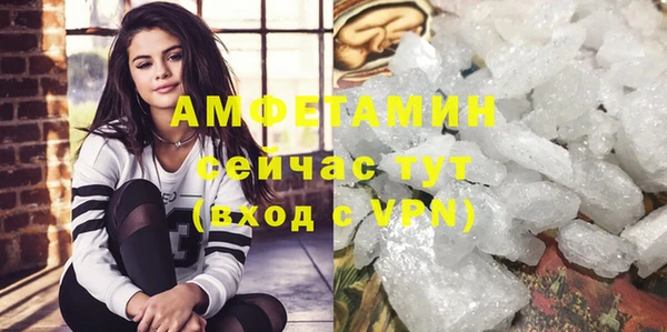 шишки Пестово