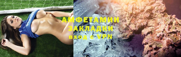 шишки Пестово