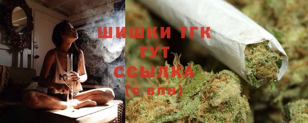 прущий лед Пересвет