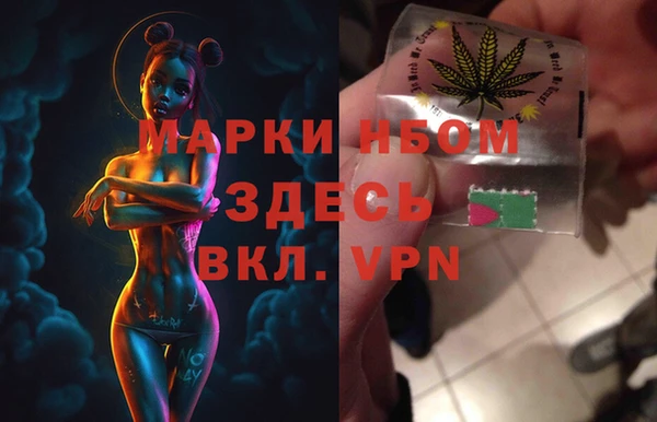 шишки Пестово