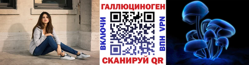 Купить закладки  Раменское  Псилоцибиновые грибы Psilocybine cubensis 